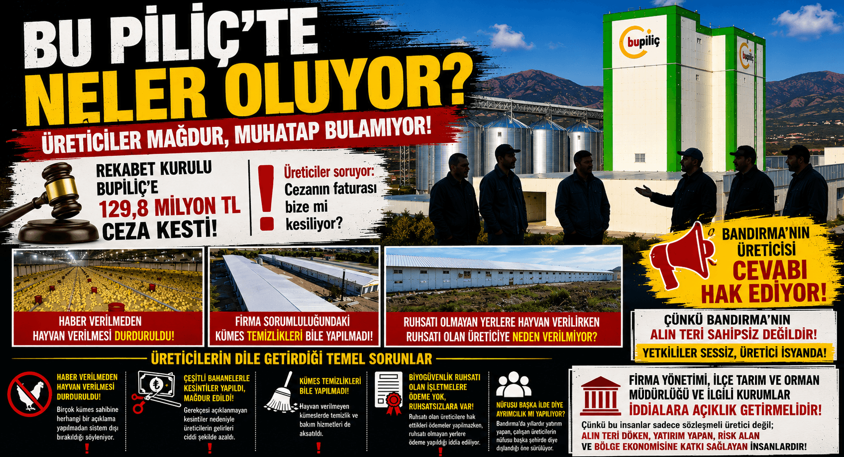 BU PİLİÇ'TE NELER OLUYOR?